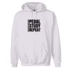 Adult Ultimate Cotton® Pullover Hooded Sweatshirt Thumbnail