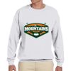 Adult Ultimate Cotton® 90/10 Fleece Crew Thumbnail