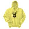 Unisex Ecosmart® Pullover Hooded Sweatshirt Thumbnail