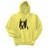 Unisex Ecosmart® Pullover Hooded Sweatshirt Thumbnail