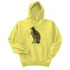 Unisex Ecosmart® Pullover Hooded Sweatshirt Thumbnail