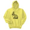 Unisex Ecosmart® Pullover Hooded Sweatshirt Thumbnail