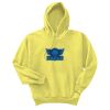 Unisex Ecosmart® Pullover Hooded Sweatshirt Thumbnail