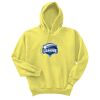 Unisex Ecosmart® Pullover Hooded Sweatshirt Thumbnail