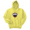 Unisex Ecosmart® Pullover Hooded Sweatshirt Thumbnail