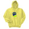 Unisex Ecosmart® Pullover Hooded Sweatshirt Thumbnail
