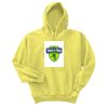 Unisex Ecosmart® Pullover Hooded Sweatshirt Thumbnail