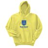 Unisex Ecosmart® Pullover Hooded Sweatshirt Thumbnail