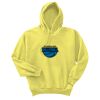 Unisex Ecosmart® Pullover Hooded Sweatshirt Thumbnail
