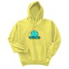 Unisex Ecosmart® Pullover Hooded Sweatshirt Thumbnail