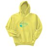 Unisex Ecosmart® Pullover Hooded Sweatshirt Thumbnail