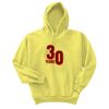 Unisex Ecosmart® Pullover Hooded Sweatshirt Thumbnail
