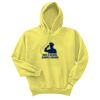 Unisex Ecosmart® Pullover Hooded Sweatshirt Thumbnail