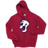 Adult EcoSmart® Full-Zip Hooded Sweatshirt Thumbnail