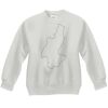 Youth ComfortBlend® EcoSmart® Fleece Crew Thumbnail