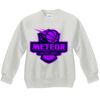 Youth ComfortBlend® EcoSmart® Fleece Crew Thumbnail