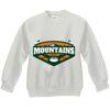 Youth ComfortBlend® EcoSmart® Fleece Crew Thumbnail