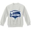 Youth ComfortBlend® EcoSmart® Fleece Crew Thumbnail