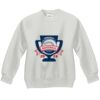 Youth ComfortBlend® EcoSmart® Fleece Crew Thumbnail