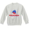 Youth ComfortBlend® EcoSmart® Fleece Crew Thumbnail