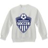 Youth ComfortBlend® EcoSmart® Fleece Crew Thumbnail