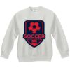 Youth ComfortBlend® EcoSmart® Fleece Crew Thumbnail