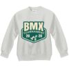 Youth ComfortBlend® EcoSmart® Fleece Crew Thumbnail