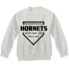 Youth ComfortBlend® EcoSmart® Fleece Crew Thumbnail