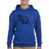 Youth EcoSmart® Pullover Hooded Sweatshirt Thumbnail